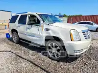2013 Cadillac ESCALADE photo