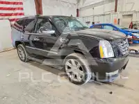 2013 Cadillac ESCALADE photo