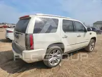 2013 Cadillac ESCALADE фото