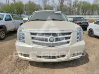 2013 Cadillac ESCALADE фото