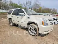 2013 Cadillac ESCALADE фото