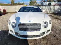 2013 Bentley Continental фото