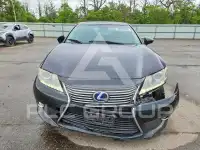 2013 Lexus ES300 фото