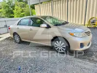 2013 Toyota COROLLA photo