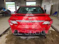 2013 Toyota COROLLA photo