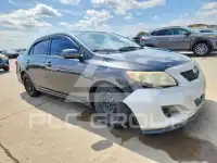 2013 Toyota COROLLA photo