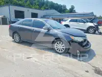 2013 Toyota CAMRY фото