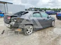 2013 Toyota CAMRY фото