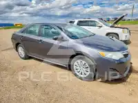 2013 Toyota CAMRY фото