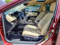 2013 Toyota AVALON photo