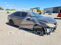 2013 Toyota CAMRY фото
