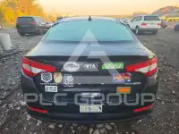 2013 KIA Optima фото