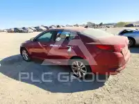 2013 KIA Optima фото