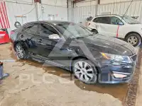 2013 KIA Optima фото