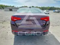 2013 KIA Optima фото