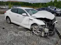2013 KIA Optima фото