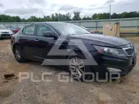 2013 KIA Optima фото