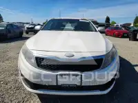 2013 KIA Optima фото