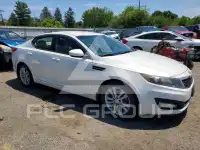 2013 KIA Optima фото
