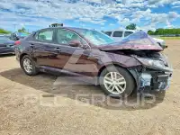 2013 KIA Optima фото