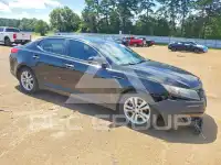 2013 KIA Optima фото