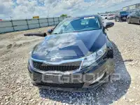 2013 KIA Optima фото
