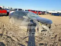 2013 KIA Optima фото