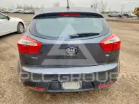 2013 KIA Rio фото