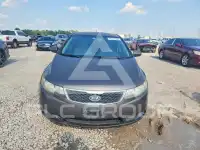2013 KIA Forte photo