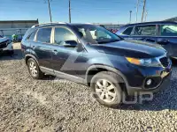 2013 KIA Sorento фото