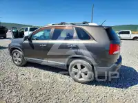 2013 KIA Sorento фото
