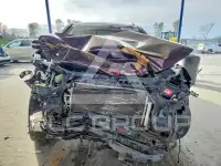 2013 KIA Sorento фото