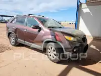 2013 KIA Sorento фото