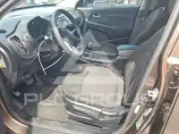 2013 KIA Sportage фото