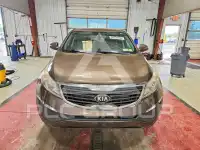 2013 KIA Sportage фото