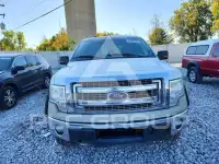 2013 Ford F-150 фото