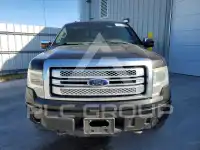 2013 Ford F-150 фото