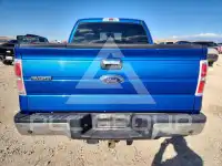 2013 Ford F-150 фото