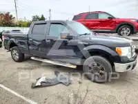 2013 Ford F-150 photo