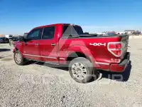 2013 Ford F-150 фото