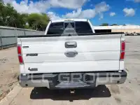 2013 Ford F-150 фото