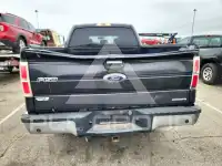 2013 Ford F-150 photo