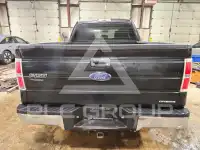 2013 Ford F-150 фото