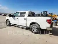 2013 Ford F-150 photo