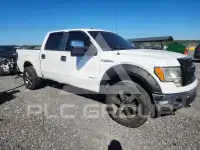 2013 Ford F-150 photo