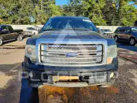 2013 Ford F-150 photo