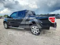 2013 Ford F-150 photo