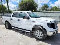 2013 Ford F-150 фото