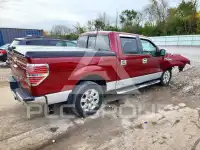 2013 Ford F-150 фото