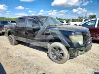 2013 Ford F-150 фото